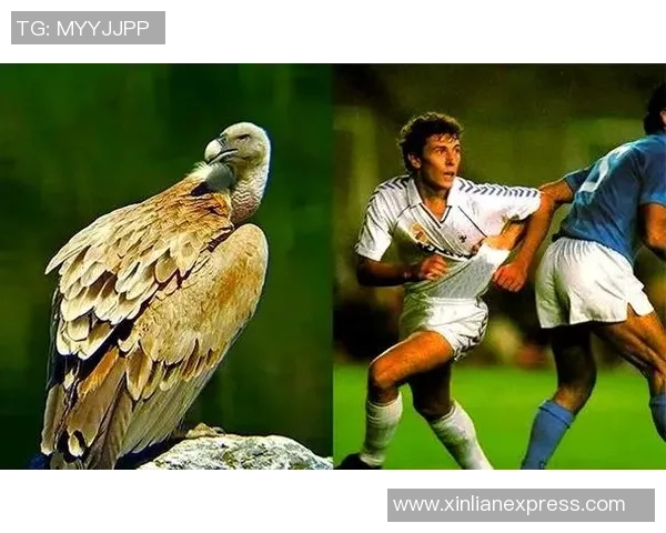 巴西足球球星绰号背后的文化内涵与传奇故事揭秘